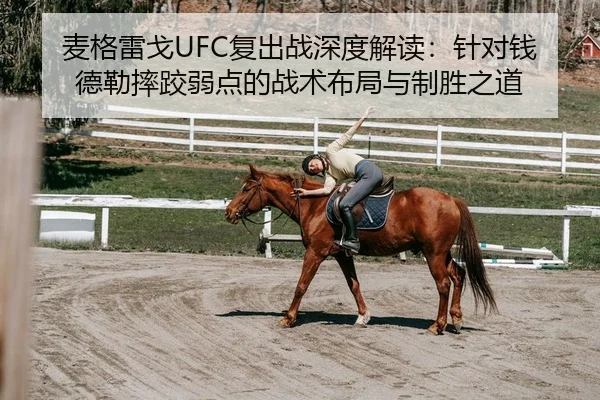 mai-ge-lei-ge-fu-chu-zhan-shen-du-jie-du-zhen-dui-qian-de-lei-shuai-jiao-ruo-dian-de-zhan-shu-bu-ju-yu-zhi-sheng-zhi-dao-2-272.jpg